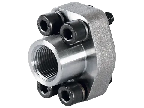 SAE-Pipe threaded flange BSPP